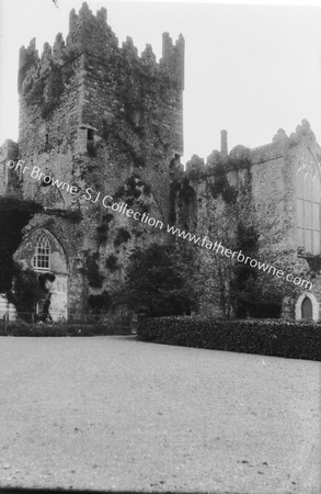 TINTERN ABBEY TOWER & S.TRANSEPT WALL FROM S.W.